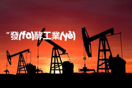 “發(fā)酵工業(yè)廢水處理，綠色創(chuàng)新引領(lǐng)環(huán)保新篇章”